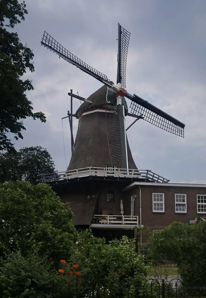 de Wijk: De Wijk, de Wieker Meule RM39657 IMG 3951 2018-05-27 16.19
