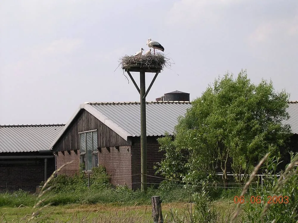 Zegveld: Zegveld Ooievaarsdorp